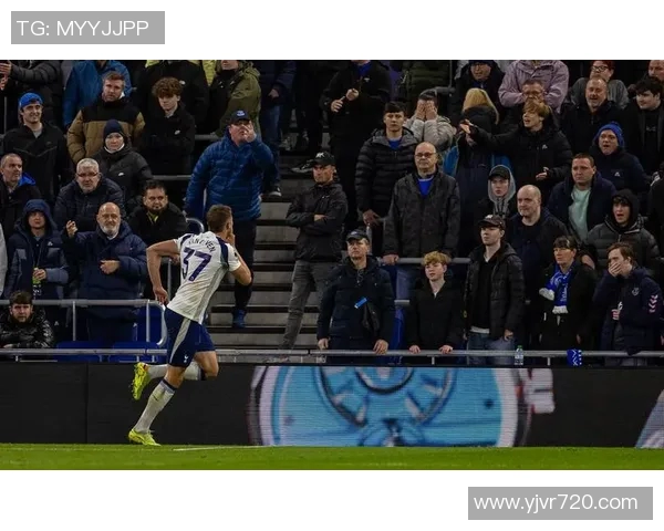 热刺与埃弗顿精彩对决在线直播全程回顾与赛后分析