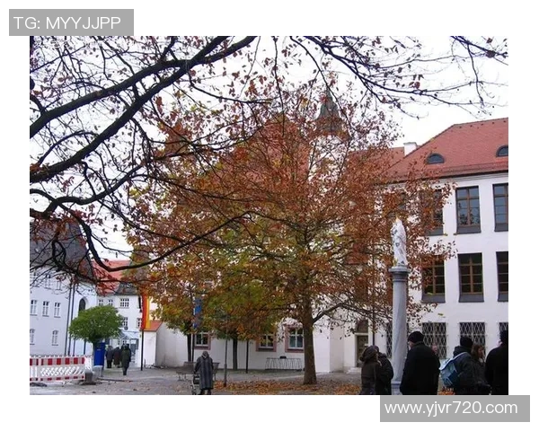 探寻因戈尔施塔特的魅力与历史深度之旅